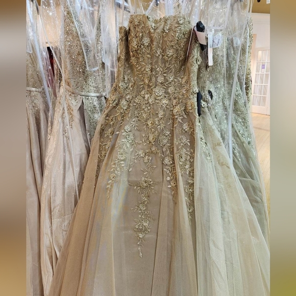 JVN by Jovani Dresses & Skirts - ISO: Champagne Silver Floral JVN Gown